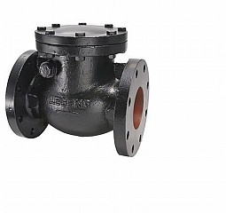 Legend Valve 116-202 2-1/2" T-311 CAST IRON Check Valve, Flanged
