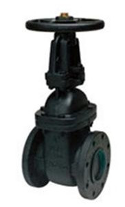 Legend Valve 116-121 2" T-303 OS & Y Cast Iron Gate Valve, Flanged