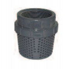 Legend Valve 201-295 1" PVC Foot Valve Screen