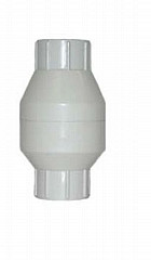 Legend Valve 203-105 1" T-611 PVC In-Line Check Valve