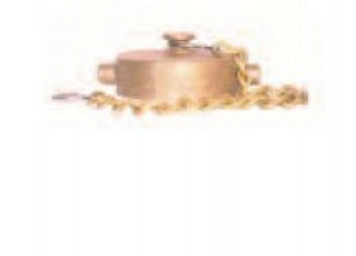 Legend Valve 324-103 A80 2-1/2" NST Cap with Chain