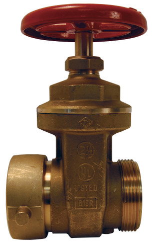 Dixon HGVW250F 2 1/2 FNST X 2 1/2 MNST HYDRANT