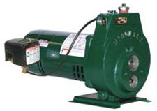 AY McDonald 8631 SQ FLG CONV PUMP 1/3 HP