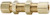 Dixon 62CBH-04 1/4" Brass Bulkhead Union
