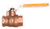 Legend Valve 101-723 1/2" T-1002ST Ball Valve, IPS, SS Ball and Stem
