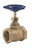 Legend Valve 103-105 1" T-421 Bronze Globe Valve