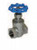 Legend Valve 113-404 3/4" T-751 Stainless Steel Gate Valve, 600 WOG