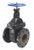 Legend Valve 116-106 6" T-301 Cast Iron Gate Valve, Flanged