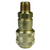 Dixon DCB25 3/8" Body x 3/8" MNPT Brass