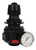 Dixon R26-02RG 1/4" Standard Regulator with Gauge