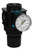 Dixon R28-04RG 1/2" Standard Regulator w/ Gauge
