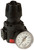 Dixon R16-03RHG 3/8 Compact High Pressure Regulator