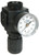 Dixon R73G-2RG 1/4" Series 1 Regulator w/ GC230