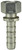Dixon SS444 1/2" x 1/2" Female
