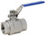Dixon SSLBV300 3" Locking Handle Ball Valve 316SS Full Port FNPT R-PTFE Seats