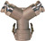 Dixon 200YDAAAL 2" Aluminum Wye - 2" Coupler x