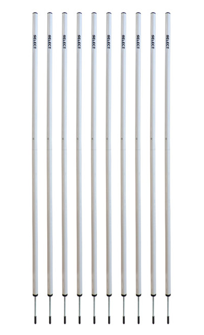 AGILITY POLE WITH SPIKE TWO PIECE 