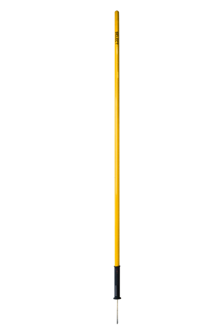 AGILITY POLE SPIKE AND SPRING YELLOW