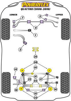 Audi A4 / S4 / RS4 A4 / S4 / RS4 B8 (2008-2016) A4 Quattro Inc. Allroad (2008 - 2016) Powerflex diagram - Reference 41