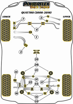 Audi A4 / S4 / RS4 A4 / S4 / RS4 B8 (2008-2016) A4 Quattro Inc. Allroad (2008 - 2016) Powerflex diagram - Reference 41