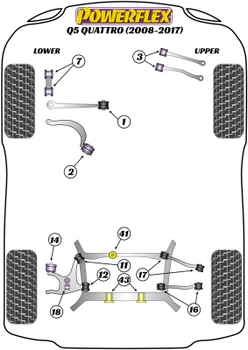 Audi Q5 / SQ5 Q5 / SQ5 (2008-2017) Q5 Quattro (2008-2017) Powerflex diagram - Reference 2