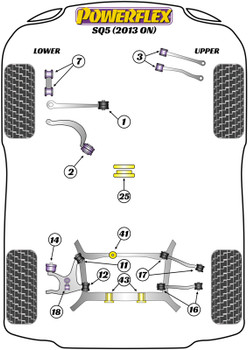 Audi Q5 / SQ5 Q5 / SQ5 (2008-2017) SQ5 (2013 - 2017) Powerflex diagram - Reference 16