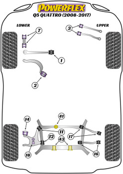 Audi Q5 / SQ5 Q5 / SQ5 (2008-2017) Q5 Quattro (2008-2017) Powerflex diagram - Reference 14