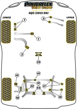 Audi Q5 / SQ5 Q5 / SQ5 (2008-2017) SQ5 (2013 - 2017) Powerflex diagram - Reference 43