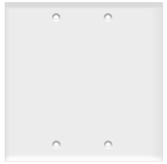 Blank Wall Plate 2-Gang White