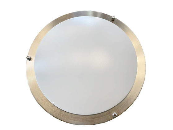 LED Double Ring Ceiling Lamp 14"