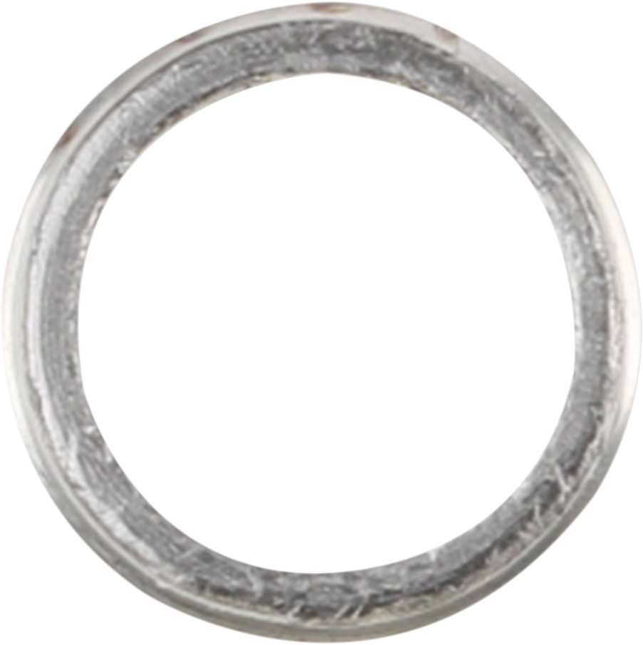  Exhaust Gaskets & Seals