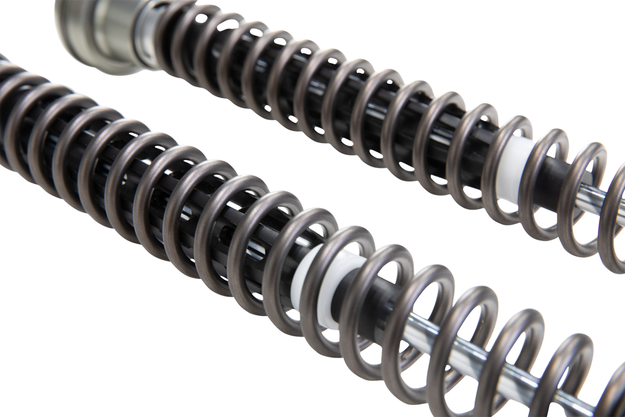  Fork Rebuild Kits