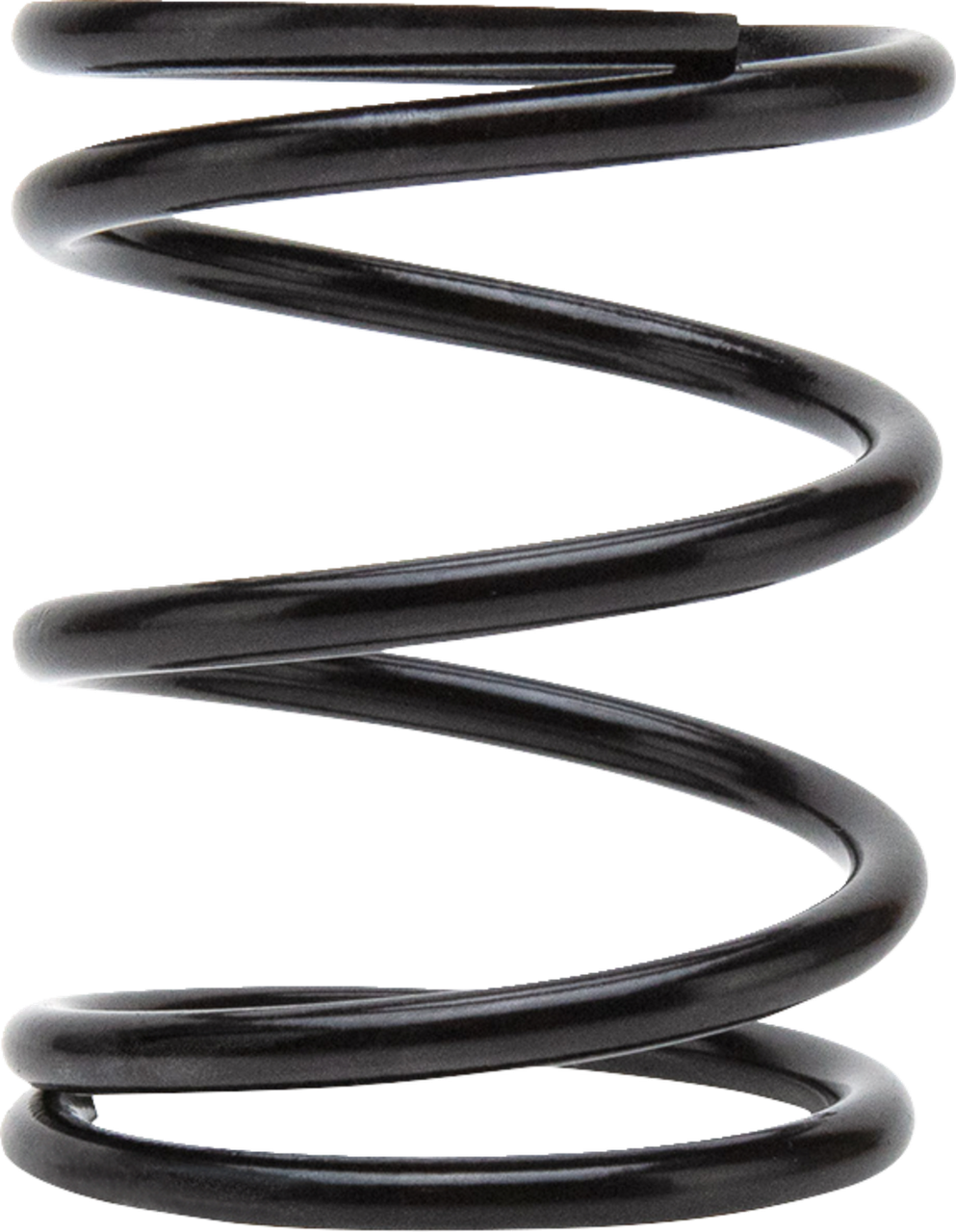  Clutch Springs