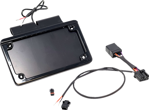 NAMZ - NIBTH-B01 - Saddlebag Tag Holder w/ Illuminated License Plate Frame - '97 FLHR