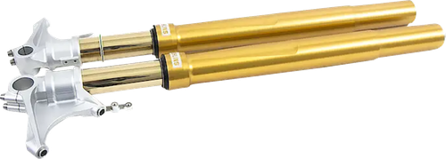 OHLINS - FGRT 308 - Fork Cartridge Kit - 48 mm - Inverted - Gold (FGRT308)
