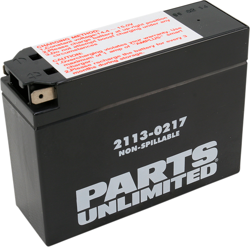 PARTS UNLIMITED - 2113-0217 - AGM Battery - YT4B-BS