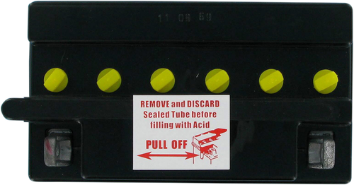PARTS UNLIMITED - RCB16B-A1 - Battery - YB16BA1