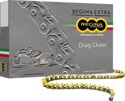 REGINA - 135DR/1006 - 520 DR Extra - Drag Racing Chain - 170 Links