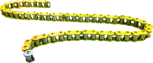 REGINA - 126ZSE/1011 - 428 ZSE - Drive Chain - 140 Links