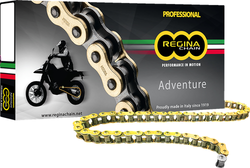 REGINA - 135ZRE/1003 - 520 ZRE - Z-Ring Chain - 110 Links
