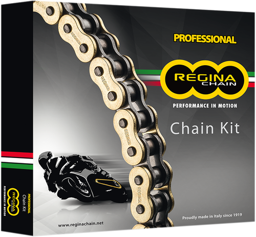 REGINA - 137ZRP/118KBM004 - Chain and Sprocket Kit - BMW - S1000RR - '12-'18