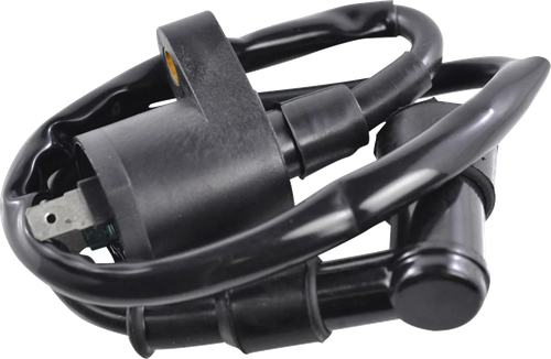 RM STATOR - RM06001 - Ignition Coil - External