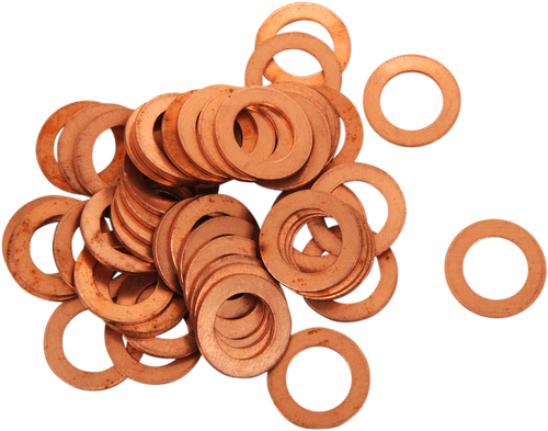 BOLT - CPRM12.20-50 - Drain Plug Washers - M12