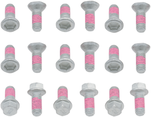 BOLT - SRTR125250 - Bolt - Rotor - 18 Pack - Suzuki RM125/250