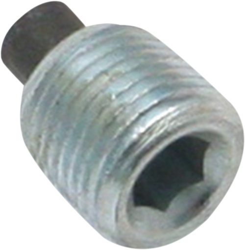 S&S CYCLE - 50-8334 - Magnetic Plug - 1/8” NPT