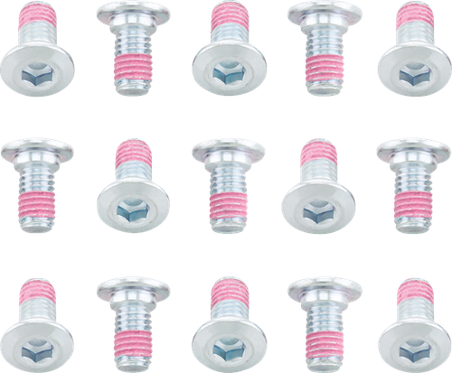 BOLT - KLRTR650 - Bolt - Rotor - 15 Pack - Kawasaki KLR650