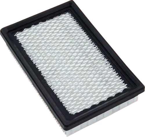 SHOW CHROME - 5-401 - Replacement Air Filter - Can-Am