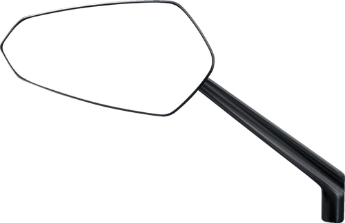 Ascent Pro Mirror