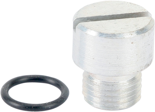 COLONY - 9645-2 - Oil Screen Plug - Cadmium - Big Twin