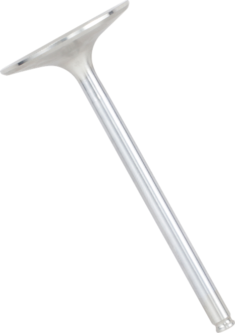 Intake Valve